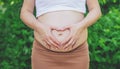 Pregnant woman holds belly heart. Selective focus