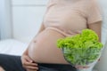 A pregnant woman holds a cup of green vegetables. Eating healthy food for the unborn child Royalty Free Stock Photo