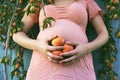 A pregnant woman holds peaches in her hands. The concept of fertility Royalty Free Stock Photo