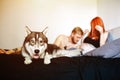 Pregnant woman, man and dog lying on a bed Royalty Free Stock Photo