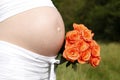 Pregnant woman outdoor with orange tulips in her hands Royalty Free Stock Photo