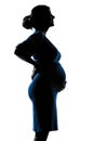 Pregnant woman portrait Royalty Free Stock Photo