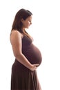 Pregnant woman profile Royalty Free Stock Photo