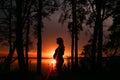 Pregnant woman profile silhouette outside sunset Royalty Free Stock Photo