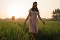 Pregnant woman in rice field on sunset day Royalty Free Stock Photo