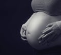 Pregnant woman`s belly with hands of mother and father Royalty Free Stock Photo