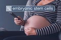 Pregnant woman searching web for embryonic stem cells Royalty Free Stock Photo