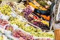 Pregnant woman shopping groceries on farmers market Royalty Free Stock Photo