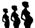 Pregnant woman vector illustration