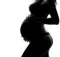 Pregnant woman silhouette on a white background Royalty Free Stock Photo