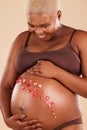 Pregnant woman, smile and flowers on stomach in studio, body and baby wellness of ivf healthcare. Mother, pregnancy and Royalty Free Stock Photo