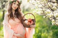 A pregnant woman in a spring garden with basket Royalty Free Stock Photo