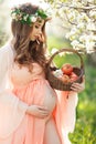 A pregnant woman in a spring garden with basket Royalty Free Stock Photo