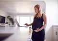 Pregnant Woman Standing By Kitchen Counter Working From Home On Laptop Royalty Free Stock Photo