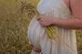 Pregnant woman standing in a wheat field