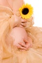 Pregnant woman with sunflower Royalty Free Stock Photo