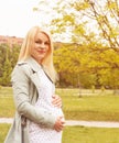 Pregnant woman on a sunny day outdoors Royalty Free Stock Photo