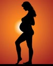 Pregnant woman. Sunset Royalty Free Stock Photo