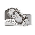 Pregnant woman torso anatomy isolated image