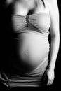 Pregnant woman torso