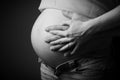 Pregnant woman torso Royalty Free Stock Photo