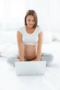 Pregnant Woman Using Laptop Computer Royalty Free Stock Photo