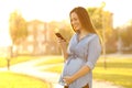 Pregnant woman using a smart phone in a park Royalty Free Stock Photo