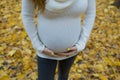 A pregnant woman in a white knitted sweater in a Park in autumn on a background of yellow leaves. concept birth of a new life