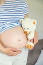 Pregnant woman and white teddy bear. Selective focus Royalty Free Stock Photo