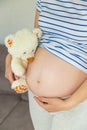 Pregnant woman and white teddy bear. Selective focus Royalty Free Stock Photo