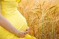 A pregnant woman in a yellow dress touches her belly in close-up on an orange wheat field on a Sunny summer day. Nature in the Royalty Free Stock Photo