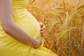 A pregnant woman in a yellow dress touches her belly in close-up on an orange wheat field on a Sunny summer day. Nature in the Royalty Free Stock Photo