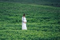 Pregnant women in green field in white dress Royalty Free Stock Photo