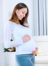 Pregnant Young Woman Royalty Free Stock Photo