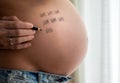 Pregnant young woman counting weeks