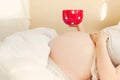 Pregnant young woman relaxing Royalty Free Stock Photo