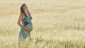 A pregnant young woman stands in a wheat field at sunset. Royalty Free Stock Photo