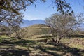 Prehispanic circular pyramid in Mexico