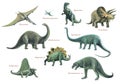 Prehistoric Animal Montage