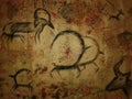 Prehistoric art with the image of textures and animals, Mesolithic, cave paintings