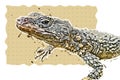 Prehistoric big tiled skin lizard illustration