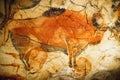 Prehistoric bison drawing in the polychrome ceiling of the Altamira cave in Santillana del Mar, Spain Royalty Free Stock Photo