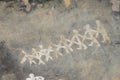 Prehistoric cave painting in Bhimbetka -India.