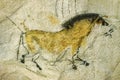 Prehistoric cave painting of a horse from the Lascaux Cave