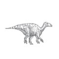 Prehistoric Dinosaur Doodle Vector Illustration. Hand Drawn Iguanodon Reptile Engraving Style Drawing.