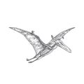 Prehistoric Dinosaur Doodle Vector Illustration. Hand Drawn Pterodactyl Reptile Engraving Style Drawing.