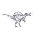 Prehistoric Dinosaur Doodle Vector Illustration. Hand Drawn Spinosaurus Reptile Engraving Style Drawing.