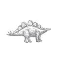 Prehistoric Dinosaur Doodle Vector Illustration. Hand Drawn Stegosaurus Reptile Engraving Style Drawing.