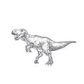 Prehistoric Dinosaur Doodle Vector Illustration. Hand Drawn Tyrannosaurus Rex Reptile Engraving Style Drawing.