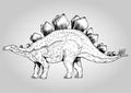 Stegosaurus Walk Alone Prehistoric Dinosaurs Vector Illustration